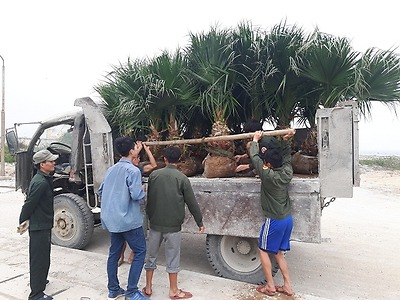 Tổng đội thanh niên xung phong Hải Phòng phối hợp với Huyện đoàn Bạch Long Vỹ tổ chức chương trình “Ngày thứ 7 tình nguyện” tại huyện đảo Bạch Long Vỹ